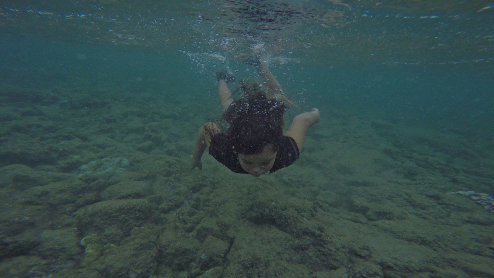 Swarm Season. Dès 12 ans de Sarah J. Christman (USA, 2019, 86 min). Documentaire. Première Suisse.