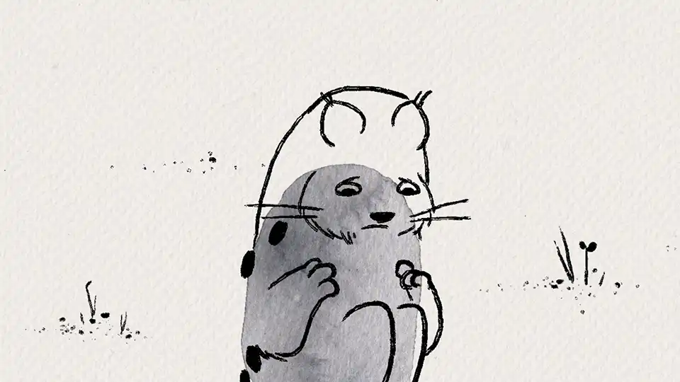 Image du film Looks de Susann Hoffmann, 2014