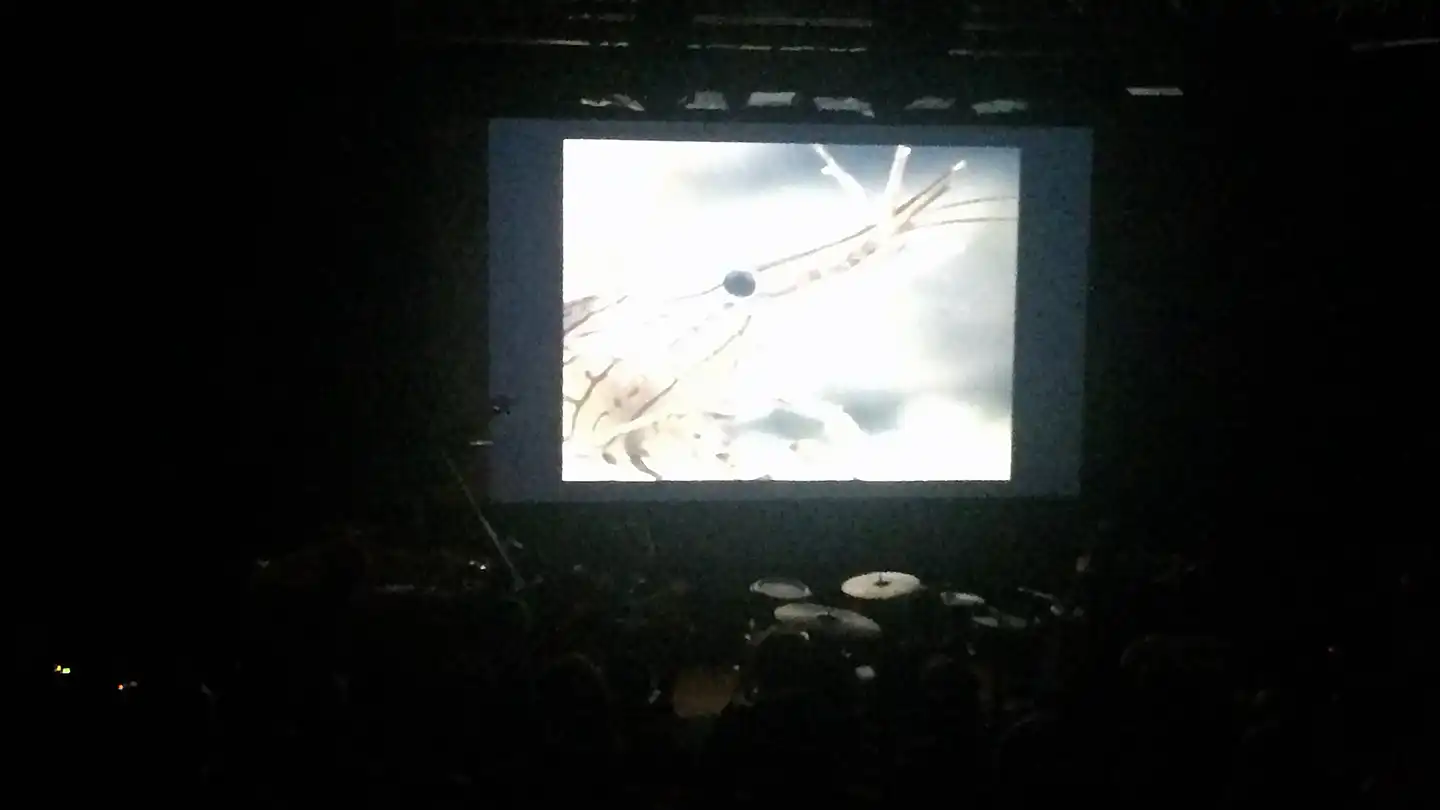 Ciné-concert du Festival Cinéma Jeune Public, 2017, photo: Delphine Jeanneret