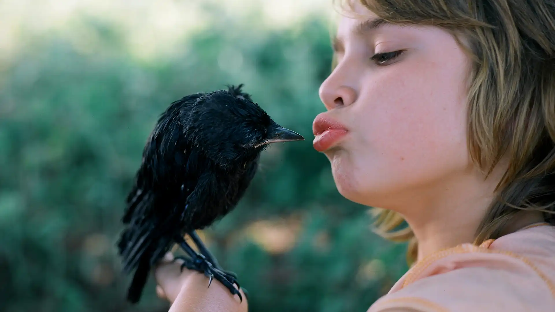 Image du film Little Bird de Boudewijn Koole, 2012