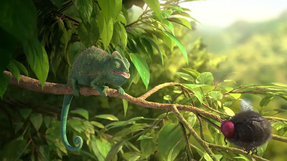 Image du film Our Wonderful Nature - The Common Chameleon de Tomer Eshed, 2016