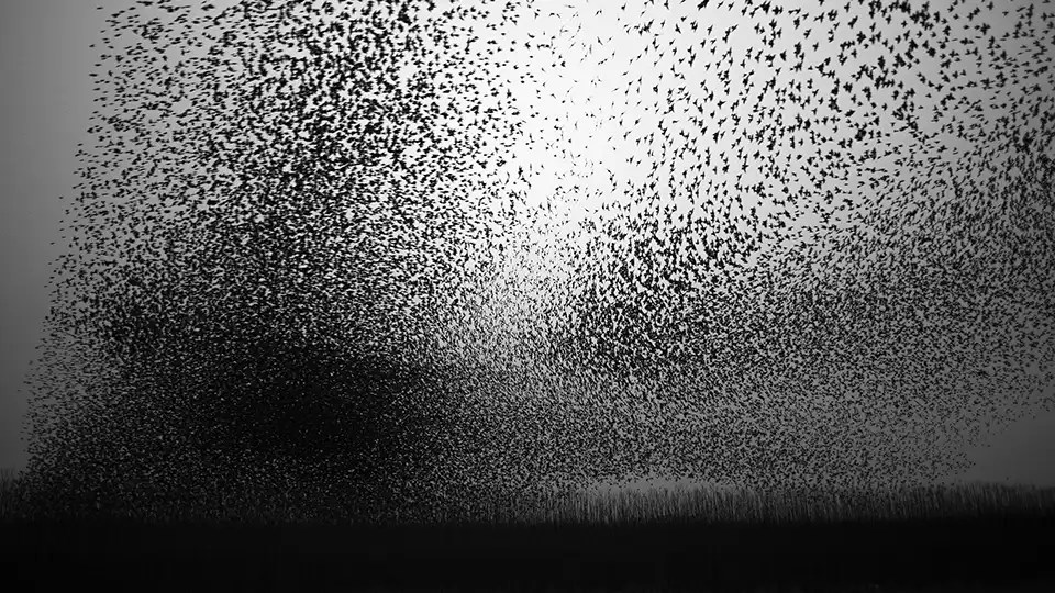 Image du film The Art of Flying de Jan van Ijken, 2015